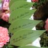 Escort Cards- Leaves.